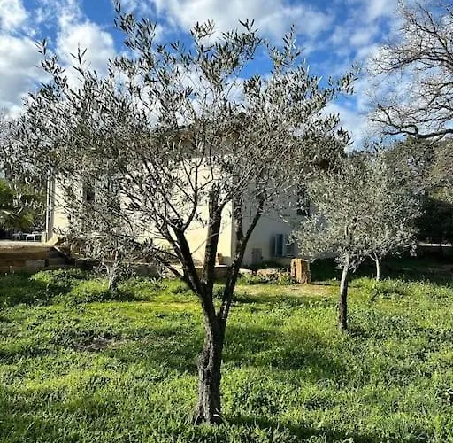 Villa Charmante Villa, 10pers, Clim,piscine,grand Jardin Pougnadoresse